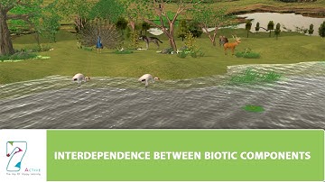 INTERDEPENDENCE BETWEEN BIOTIC COMPONENTS