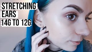 STRETCHING MY EARS FROM 1.6MM TO 2MM // My Ear Stretching Journey ✨