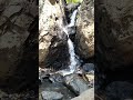 రంపచోడవరం waterfalls #nature #shorts #viral #trening