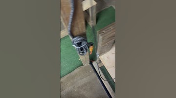 Part 2, bumble feet peeled right out! #qaib #chicken #thairooster #bantamchicken #rooster #bantam