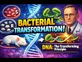 Bacterial Transformation Explained | AP Biology & Biotechnology Applications