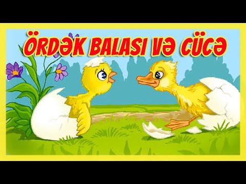 Video: Ördək və Örtük həqiqətən işləyəcəkmi?