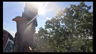 Ziplining a 80 ft Pine Tree Over a House!