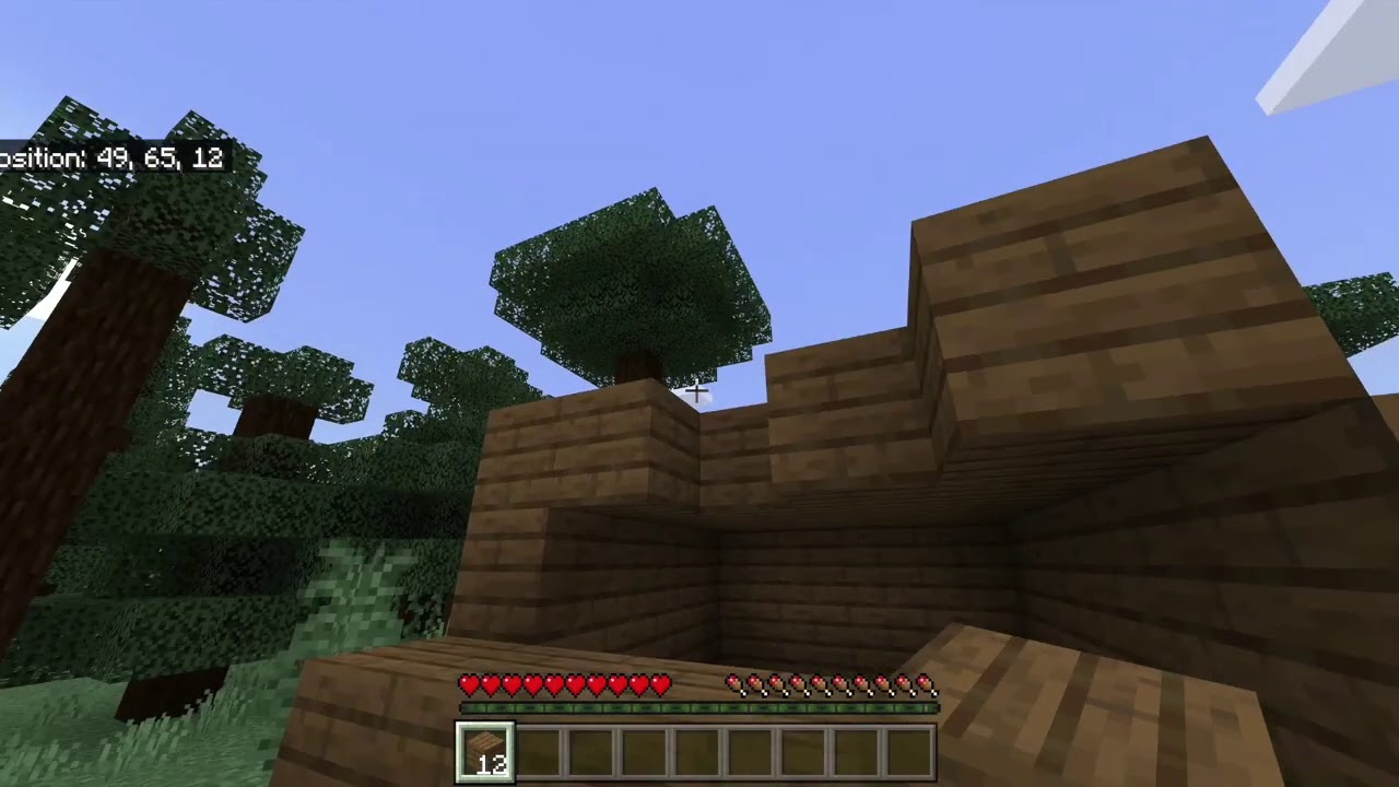 How to Survive One Day and Night in Minecraft YouTube