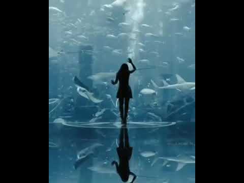 من لقى في بعدنا راحة الله لا يغير علية