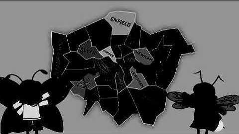 Borough Bugs Intro In Sorcerer Atmo 0.0