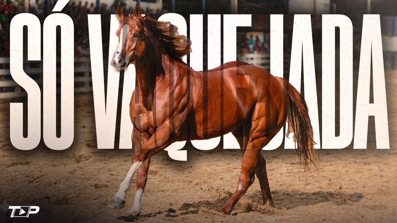 SÓ VAQUEJADA 2026 - SELEÇÃO DE FORROZINHO (PRA TOMAR UMA) Junior Vianna, Vaqueiro Chameguinho