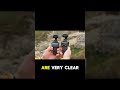 DJI vs Insta360 The Camera War is On!