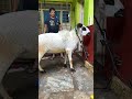 Throwback From Bakrid 2022 Throwback From Bakrid 2022