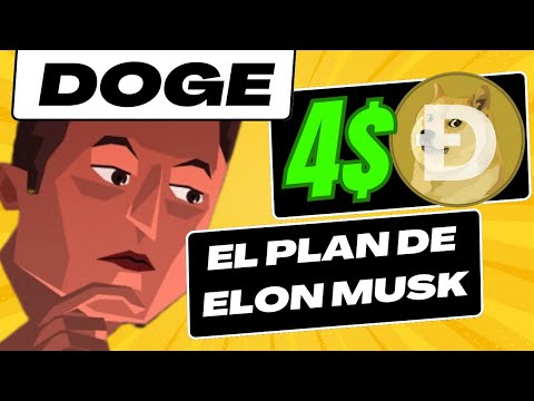 🚨 DOGE VA