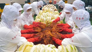 Mass production of various Korean kimchi - Food Factory