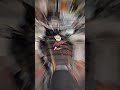 #bullet lamination#bulletlover #sodhubullet#sidhumoosewalastatus #shorts
