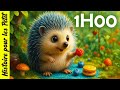 1H00 d'histoire pour les petits🦔Histoire pour s'endormir | conte pour enfants