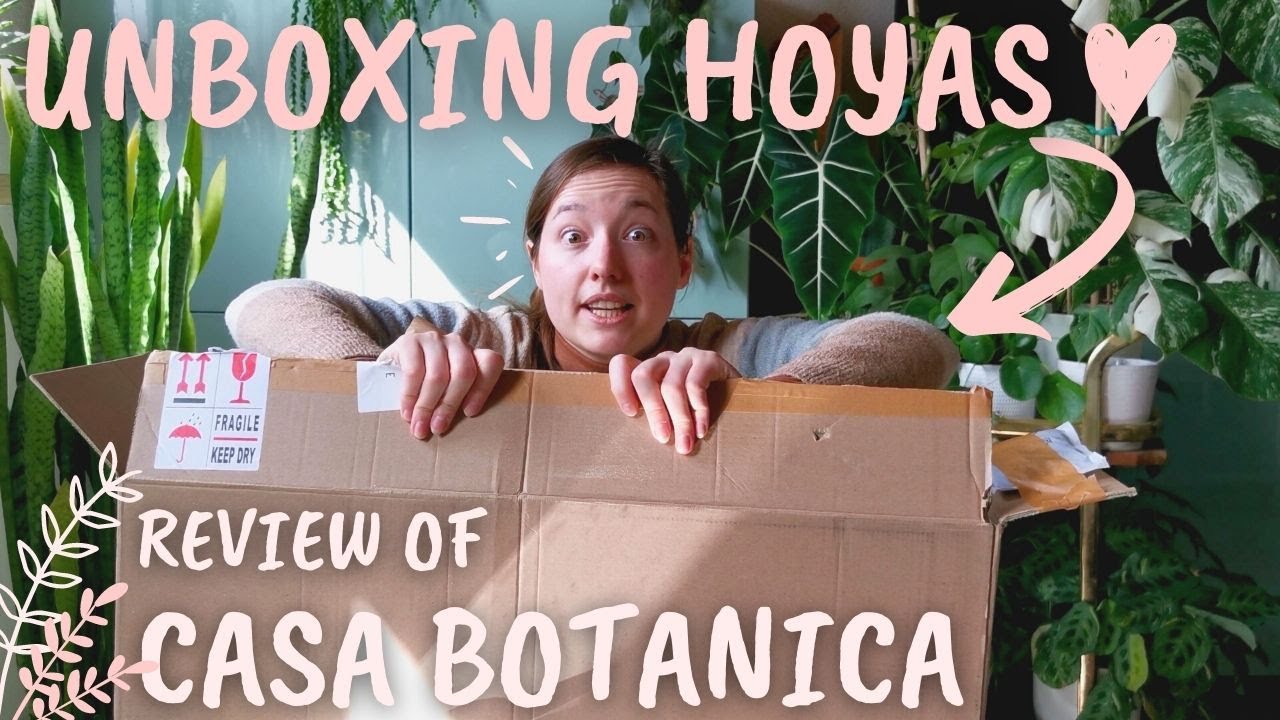 HOYA HAUL from Casa Botanica | Onlineshop review & Unboxing of wishlist plants 😍