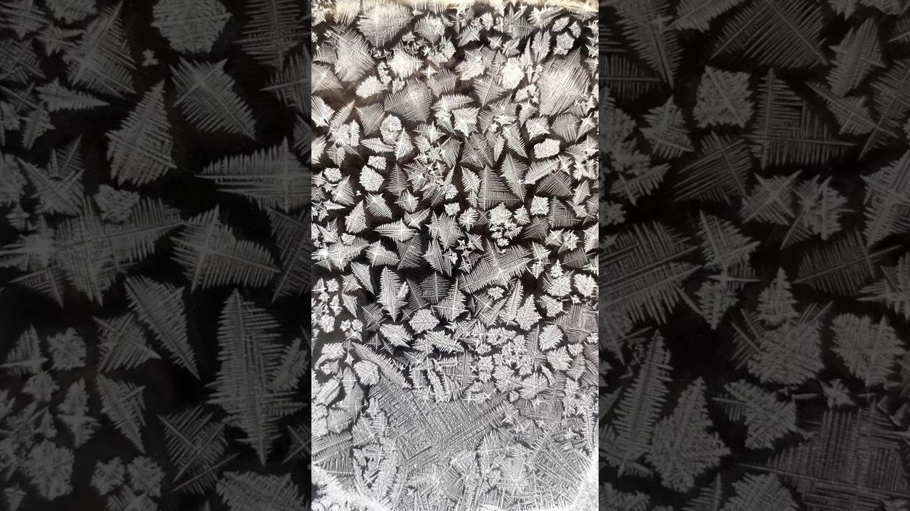 ❄️CRISTALES de CLORURO DE AMONIO🧪#chemistry #physics