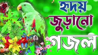 gazal, Bangla Gojol, ghazal, bangla song, gazal 2023, Islamic song, viral Gojol, বাংলা গজল 2024