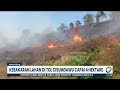 Kebakaran Lahan di Tol Cisumdawu Capai 4 Hektare  - [Metro Siang]