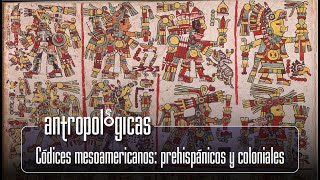 Antropológicas | Códices mesoamericanos: prehispánicos y coloniales