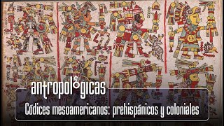 Anthropological | Mesoamerican Codices: Pre-Hispanic and Colonial