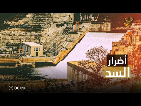 نقص كبير في كهرباء السد العالي تأثير على إنتاج المزارع السمكية أضرار دائمة على مصر بسبب سد النهضة