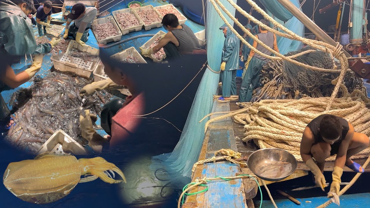 Mành chụp 4 xào chụp 2 nhát tắt điện dời đèn làm hàng quá ít - Dân Biển