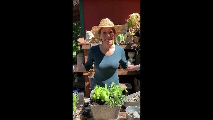 A visit to the garden shed of Aurora Florialis on ...
