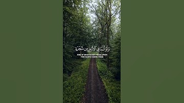 (اللهم صلِ وسلم وبارك على نبينا محمد) #قرآن_كريم #قرآن #القرآن_الكريم #تلاوة_خاشعة
