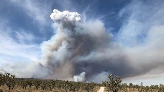 Cima Dome Fire