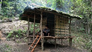 Building Luxury Bamboo House In Jungle - Solo CAMPING - Bushcraft Shelter - Solo Survival