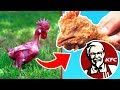 Top 10 Disturbing Secrets KFC Doesn’t Want You To Know Top 10 Disturbing Secrets KFC Doesn’t Want You To Know