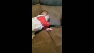 BABY DISCOVERS CATS TAIL