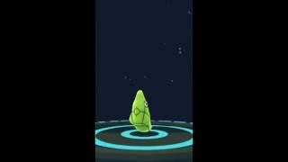 [EVOLUTION] Caterpie evolving into Metapod in Pokemon Go