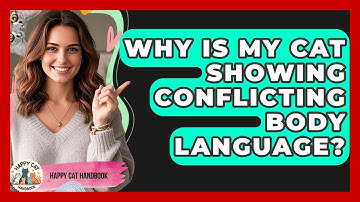 Why Is My Cat Showing Conflicting Body Language? - Happy Cat Handbook