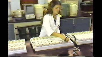 Servi-Tech Celebrates 40 years