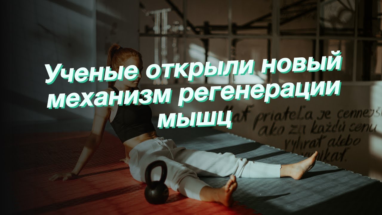 Ученые открыли новый механизм регенерации мышц