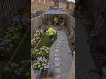 Small Backyard | Big Upgrade 😍 #trending #shortsfeed #restoration