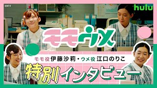 実写ドラマ「モモウメ」伊藤沙莉・江口のりこ特別インタビュー！本編一部シーンも！