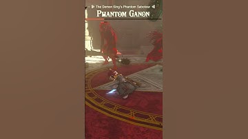 When You Really Want a Full Compendium? - Zelda Totk #Shorts