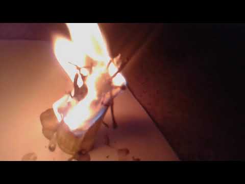 წებო დნება ! ექსპერიმენტი#1