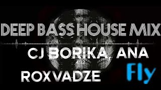 Cj Borika, Ana Roxvadze - Fly (Deep Bass House Mix)