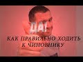 Ходи к чиновнику РЕЗУЛЬТАТИВНО! (из стрима №5)