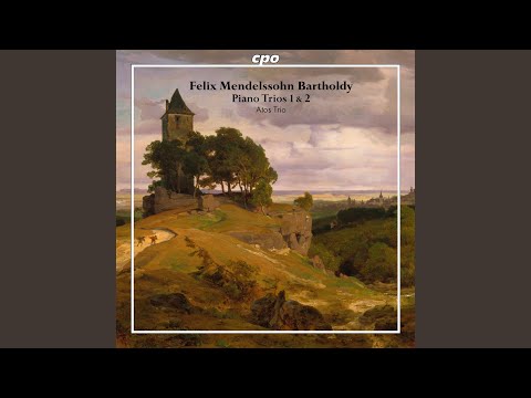 Piano Trio No. 1 in D Minor, Op. 49, MWV Q29: II. Andante con moto tranquillo