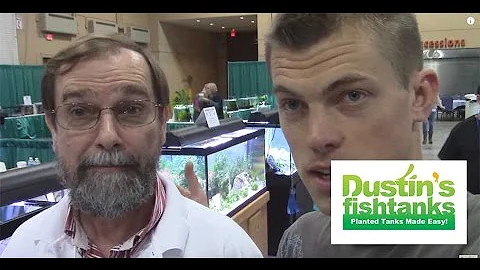 How to Keep Rainbowfish. Super Species Sunday w/ G...