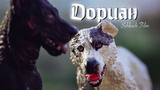 картинка: ДОРИАН. Шляйх фильм // Schleich // шлях фильм про собак