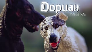 ДОРИАН. Шляйх фильм // Schleich // шлях фильм про собак