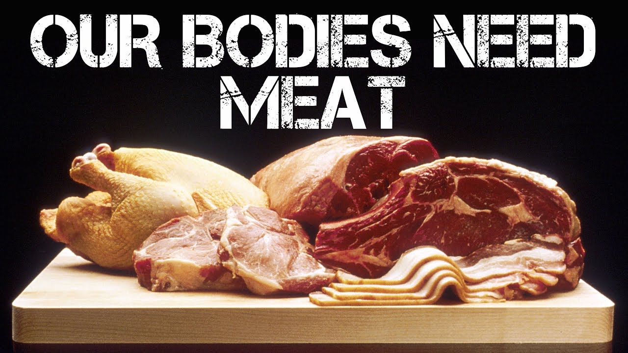 Health Benefits of Bone Broth, Collagen, Grass Fed Meats Health Tips