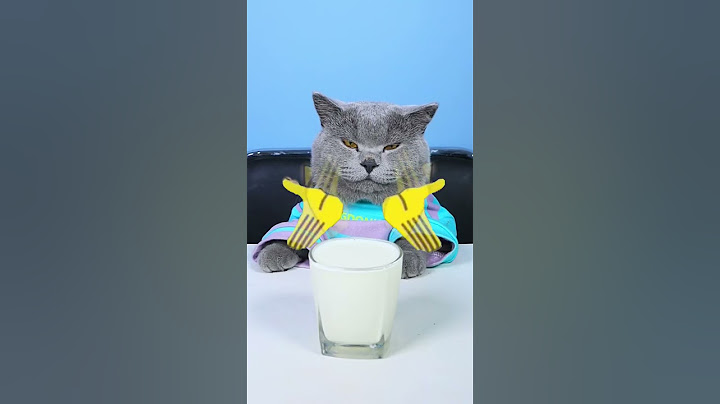 Hey! Do Not Waste Food Again And Again!😟🍦| Don't Waste Food  #topperguild #funnycat  #shorts