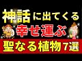 【神話が語る】置くだけで幸運が舞い込む“聖なる植物”7選を風水アドバイザーが解説