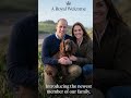 Prince William &amp; Kate’s BIG SURPRISE! 👑 Meet the Newest Royal Family Member! 🐶