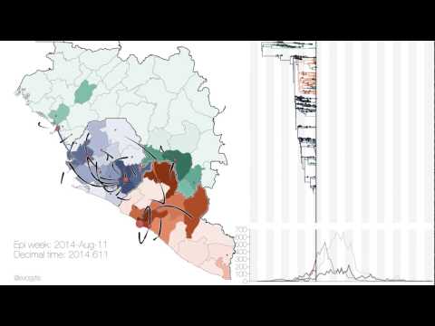 Virus genomes reveal factors that spread and sustained the Ebola epidemic